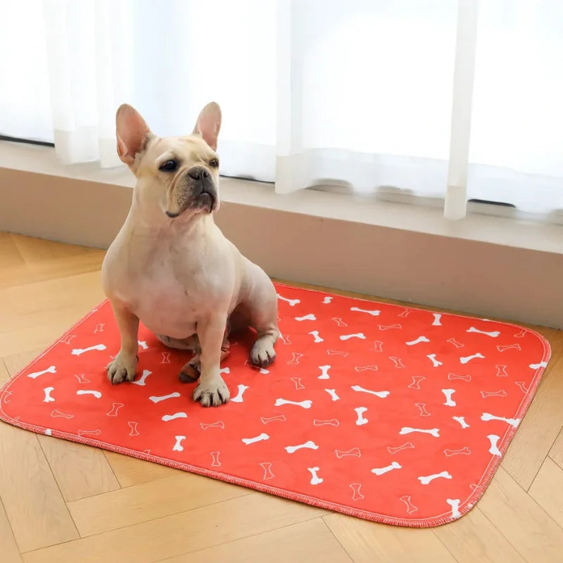 Tapis d’Apprentissage Propreté