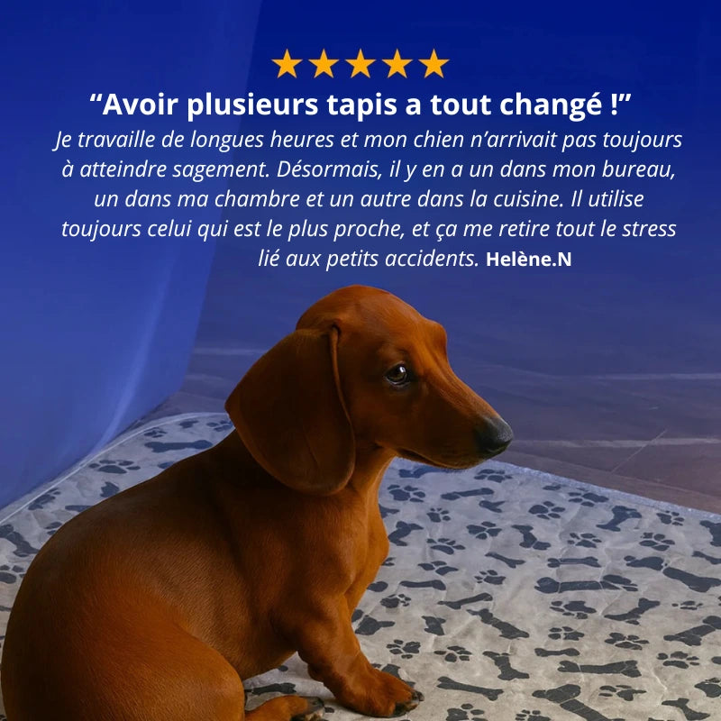 Tapis d’Apprentissage Propreté