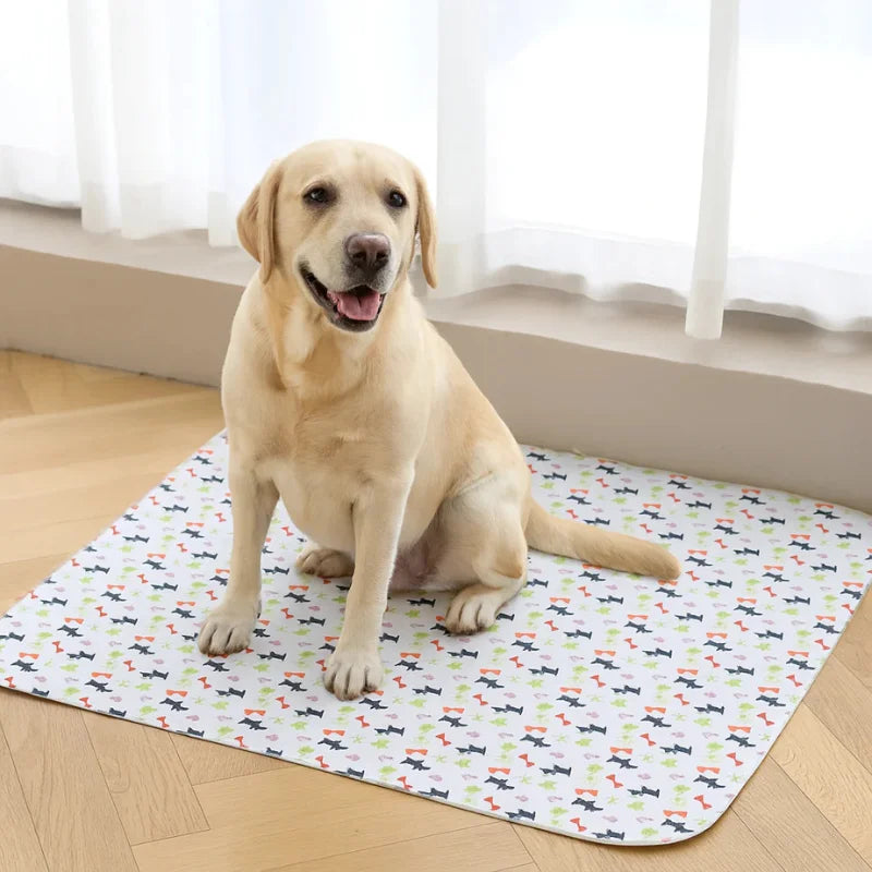 Tapis d’Apprentissage Propreté