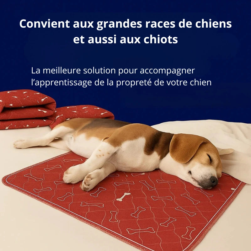 Tapis d’Apprentissage Propreté