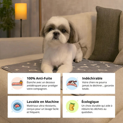 Tapis d’Apprentissage Propreté