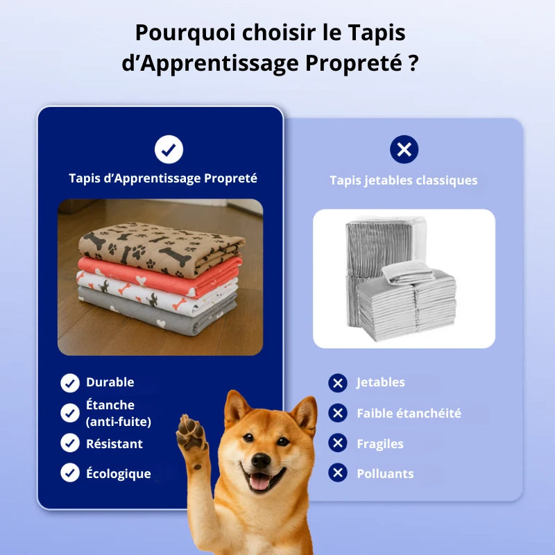 Tapis d’Apprentissage Propreté